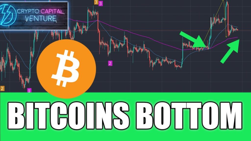 Bitcoin Bottom Chart – BTC Price | The BC.Game Blog