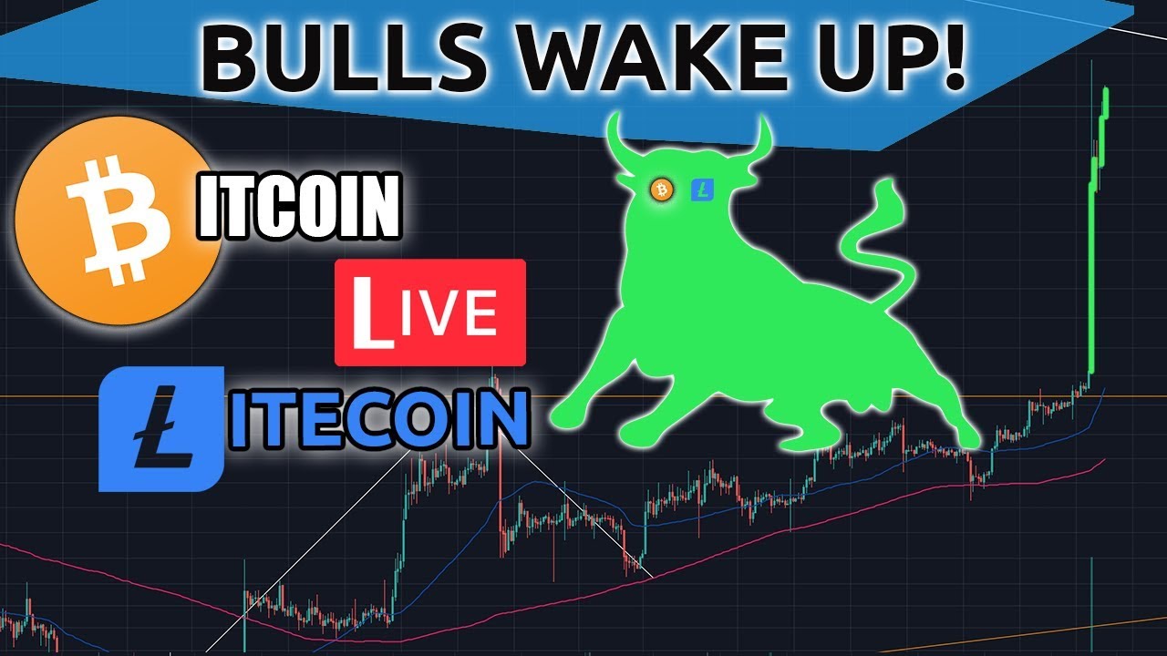 Bitcoin & Litecoin Bulls Wake Up...AGAIN