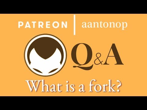 Bitcoin Q&A: What is a fork?