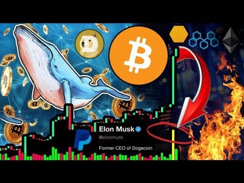 Bitcoin Whale Pumping Prices!!! 20,000 $BTC Order! 40% MORE Gains to Go?!?