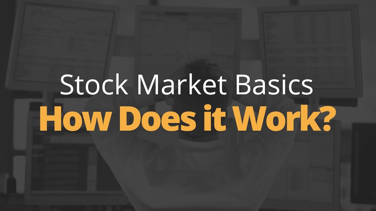 Stock Market Basics - How the Stock Market Works