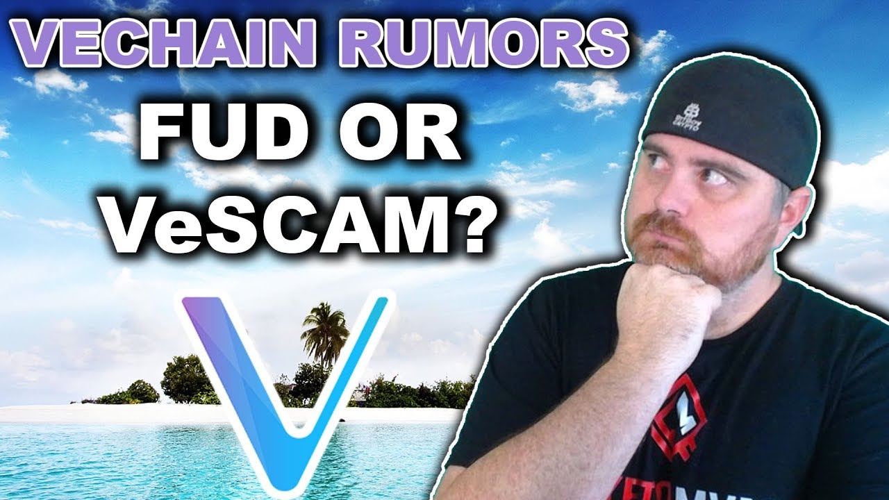 VeChain Rumors: FUD or SCAM? | Unbiased Opinion on the Evidence So Far