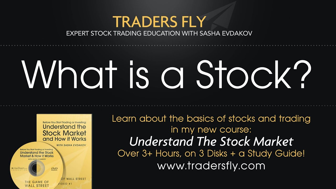 What is a Stock: Beginners Guide to Investing
