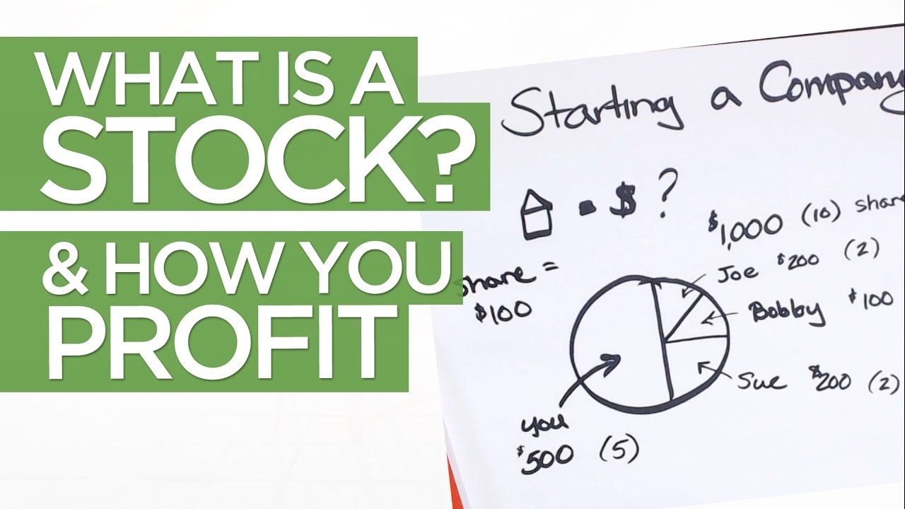 What is a Stock & How YOU Make Money in the Market
