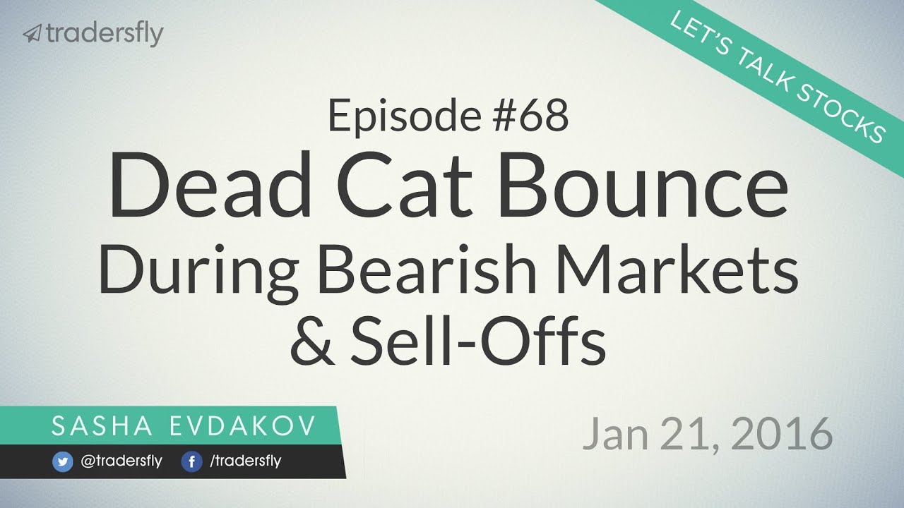 Ep 68: Dead Cat Bounce During Bearish Market Sell-offs (Stock Market)