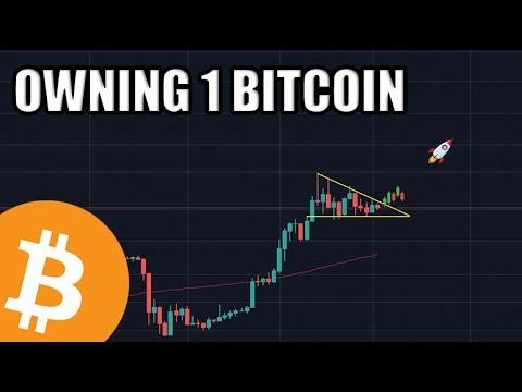 Owning 1 Bitcoin Is At An All Time High. The Future Is Bright.