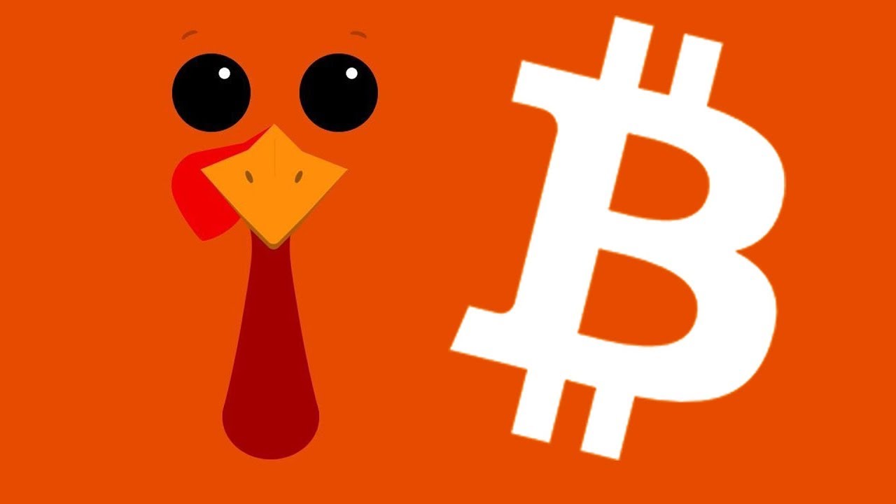 A Bitcoin Thanksgiving | Top 5 Things I'm Grateful For