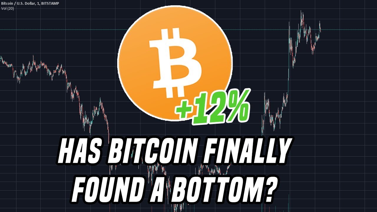 Bitcoin Rebounds +12% | Why it's important to focus long-term