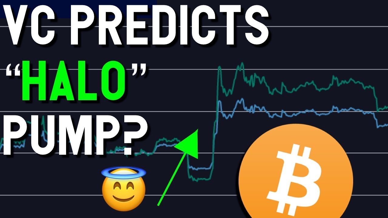 Top crypto VC predicts Bitcoin "halo" pump & shares approach to investments | Alex Shin Interview