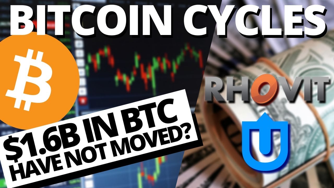 BITCOIN BULL RUN CYCLES | BTC Locked in Wallets | SOCIAL MEDIA CRYPTOCURRENCY AND DECENTRALIZATION