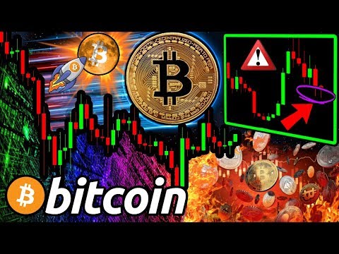 Why BITCOIN Has Most Likely BOTTOMED & HALVING is NOT Priced In! Best Evidence Yet?