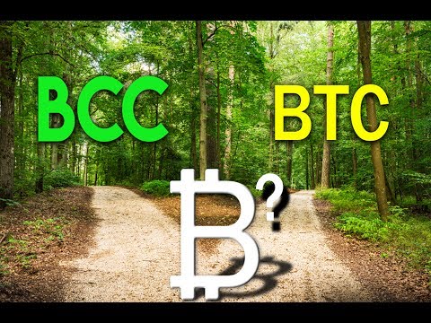 Market Downturn, Investor Awareness? Claim Your BCC Coins.