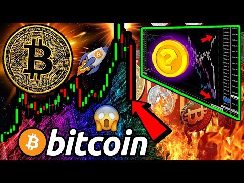 BITCOIN, Stocks & Gold DUMP!! But WHERE is the MONEY GOING? What Will Happen to BTC?