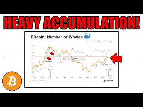 New Glassnode Report: Whales In HEAVY BTC Accumulation! + Raoul Pal Moves 25% Portfolio to Bitcoin!