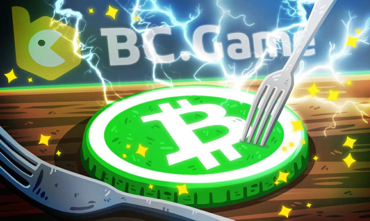 bitcoin bitcoin cash fork