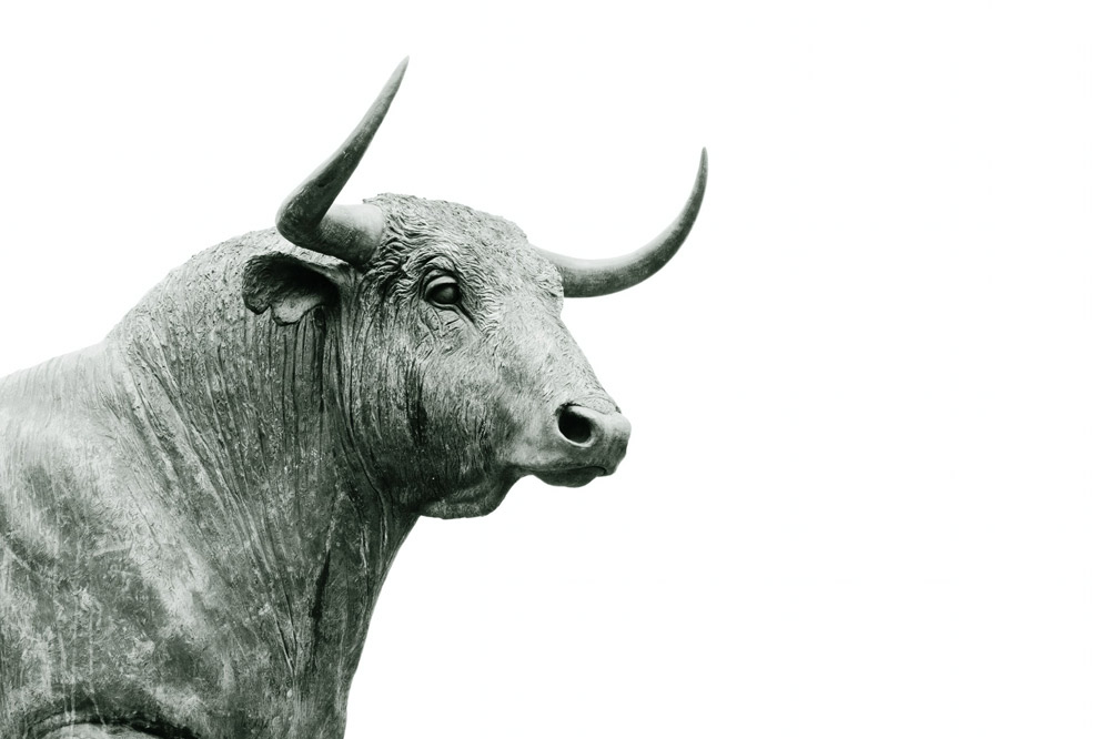 Bull Market