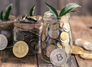 Become A Crypto Investor By Dividing Your Crypto Portfolio Sparingly How To Become A Crypto Investor By Dividing Your Crypto Portfolio Sparingly