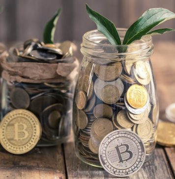 Become A Crypto Investor By Dividing Your Crypto Portfolio Sparingly How To Become A Crypto Investor By Dividing Your Crypto Portfolio Sparingly