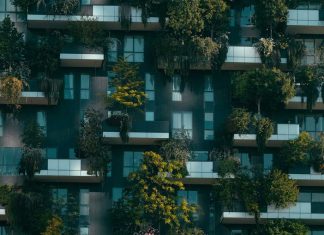 What You Need to Know About the Blockchain Interoperability Alliance Blockchain Interoperability Alliance