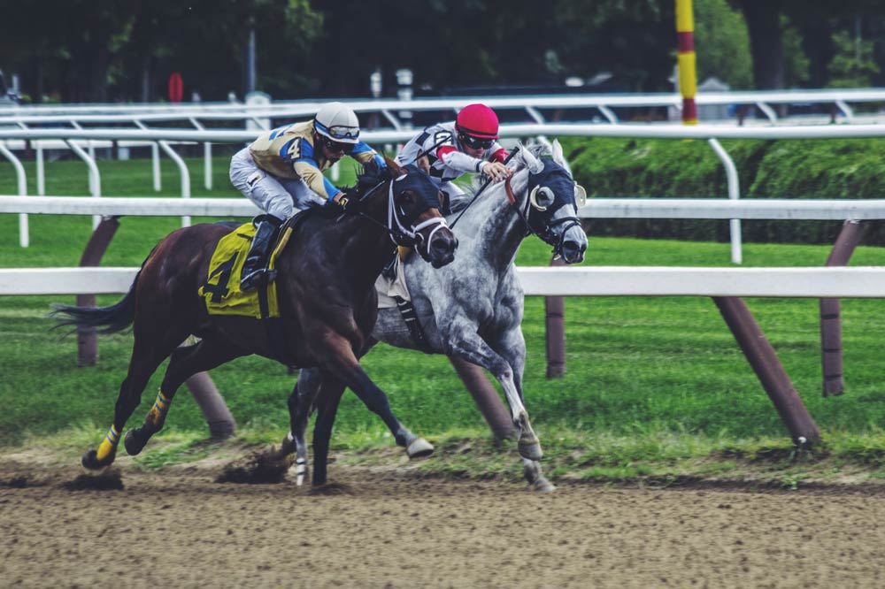 Bet On Horses