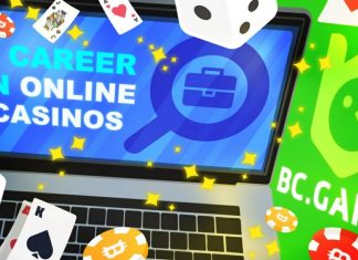 What to Know When Considering a Career in iGaming? Career in iGaming