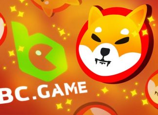 SHIB Coin: All You Need To Know About The Doge Killer! SHIBA Inu: All You Need To Know About The Doge Killer