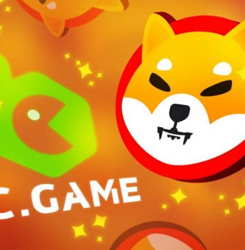 SHIB Coin: All You Need To Know About The Doge Killer! SHIBA Inu: All You Need To Know About The Doge Killer