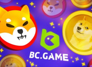 Does SHIB Hold the Potential to Overtake DOGE in Market Cap? Does SHIB Hold the Potential to Overtake DOGE in Market Cap?