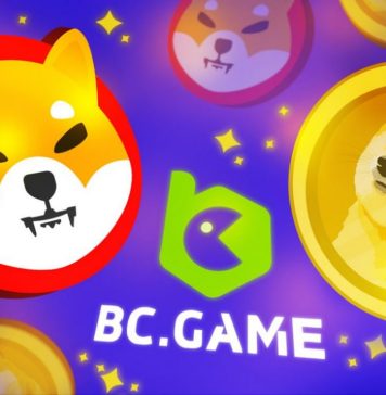 Does SHIB Hold the Potential to Overtake DOGE in Market Cap? Does SHIB Hold the Potential to Overtake DOGE in Market Cap?