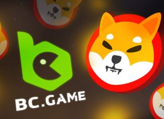 Shiba INU Could Be the Biggest Catalyst for Crypto Adoption! Shiba INU Could Be the Biggest Catalyst for Crypto Adoption!