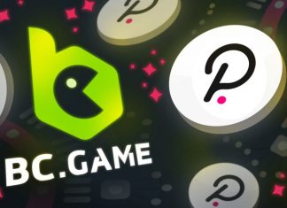 All You Need To Know About Polkadot Parachain: Benefit For DOT Holders All You Need To Know About Polkadot Parachain: Benefit For DOT Holders