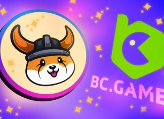 The Meme Coin Era: BC.GAME has listed Floki Inu (FLOKI) The Meme Coin Era: BC GAME has listed Floki Inu (FLOKI)