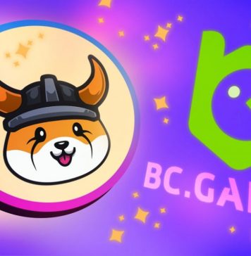 The Meme Coin Era: BC.GAME has listed Floki Inu (FLOKI) The Meme Coin Era: BC GAME has listed Floki Inu (FLOKI)