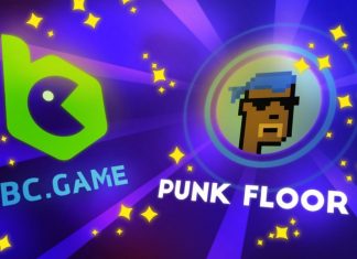 What are Punk Floor (FLOOR) NFTs? What are Punk Floor (FLOOR) NFTs?