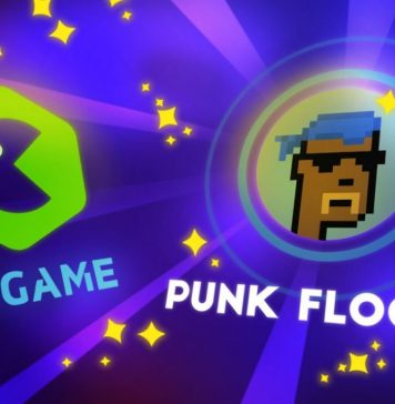 What are Punk Floor (FLOOR) NFTs? What are Punk Floor (FLOOR) NFTs?