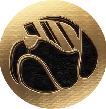 Beginner’s Guide To Hoge Finance HOGE Finance