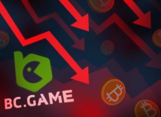 Top 3 Things to Do in a Crypto Bear Market Top 3 Things to Do in a Crypto Bear Market