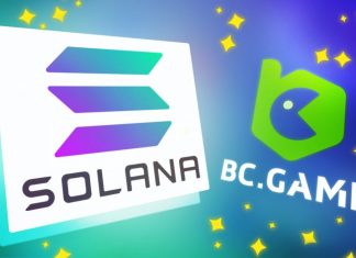 What is Solana (SOL)? What is Solana (SOL)?