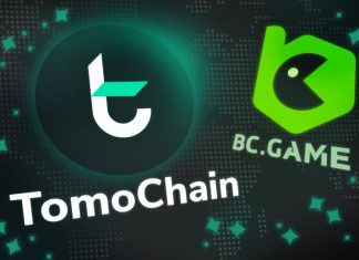 A Beginner’s Guide To TomoChain (TOMO)