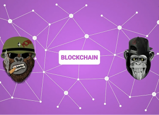 Top Women-Led NFT Collections in 2022 top nft collections