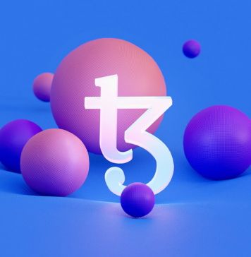 Tezos Baking Crypto vs Delegation: Which Is Worth It?