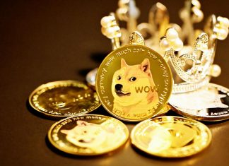 Best Dogecoin Casinos: 6 Reviews For Crypto Gamblers best dogecoin casinos