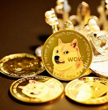 Best Dogecoin Casinos: 6 Reviews For Crypto Gamblers best dogecoin casinos