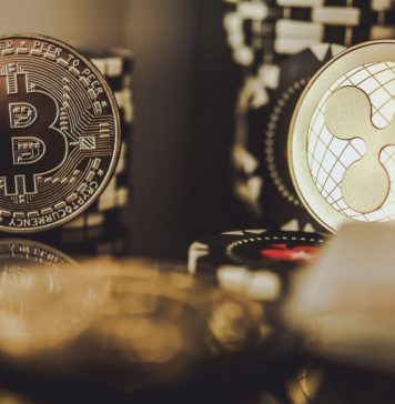 Крипто казино — стоит ли довериться новому тренду? Крипто казино