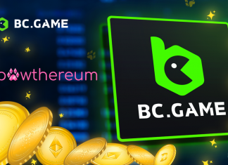 What Happened To Grumpy Cat Coin & How Did Pawthereum Come About?