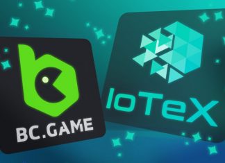 Everything You Need To Know About IoTeX (IOTX)