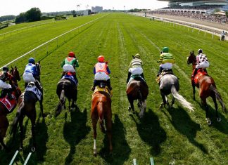 Guide To Sports Betting: How To Bet On Horse Racing How To Bet On Horse Racing
