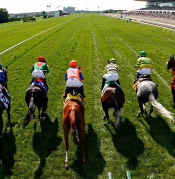 Guide To Sports Betting: How To Bet On Horse Racing How To Bet On Horse Racing