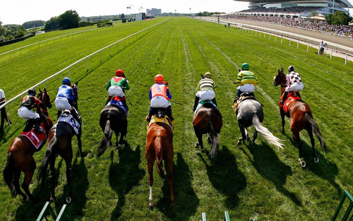 Guía de apuestas deportivas: cómo apostar en carreras de caballos