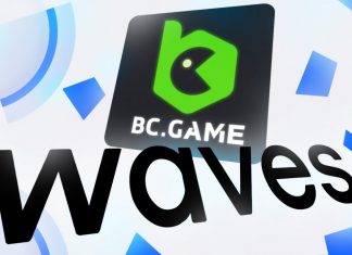 What is the Waves Platform (WAVES)?